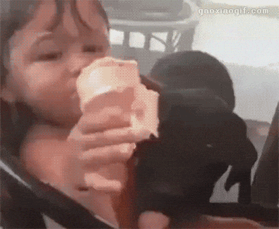 5招讓狗狗安全度過春節“危險期”