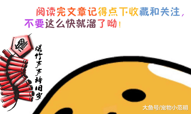 为什么中国的高楼层有限制？为什么拆迁房的“拆”字一定要用圆圈圈住呢？