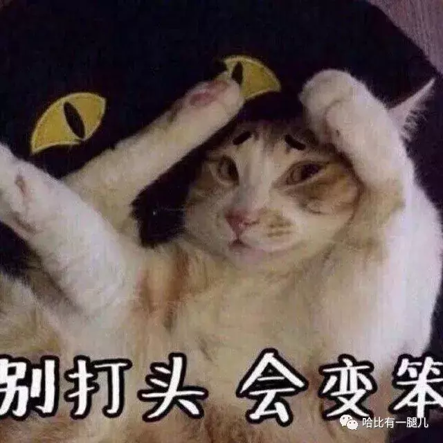 有两种忘记生活烦恼的方式: 表情包和猫