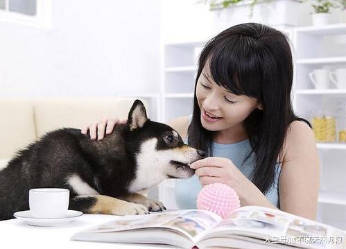 狗狗把你当成主人，它会有这几个表现