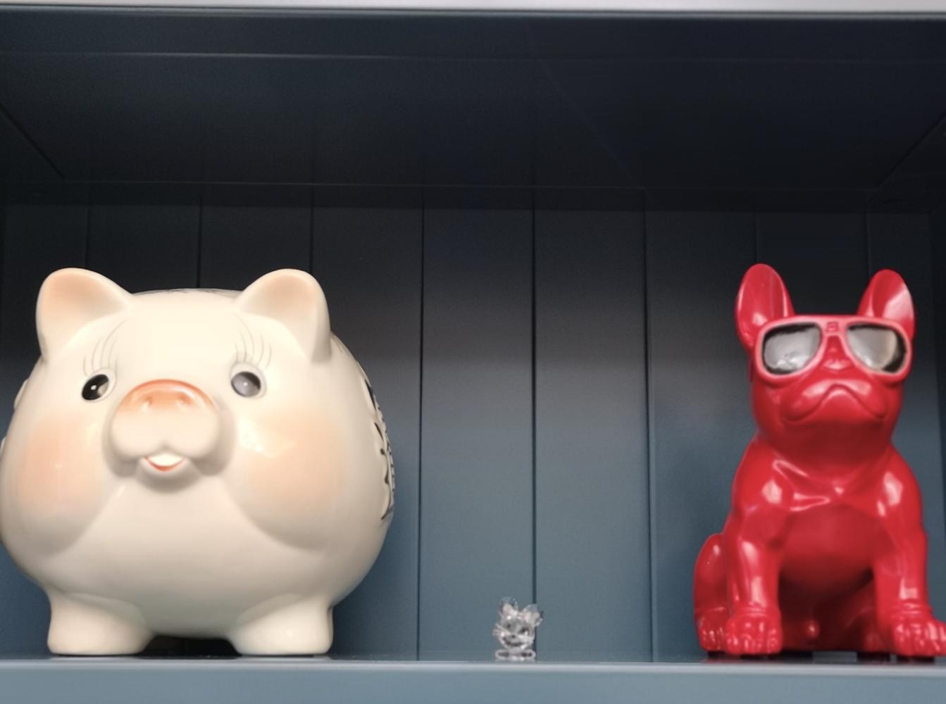 幸福猪猪女孩的360㎡现代美式! | 【Life+】第一期