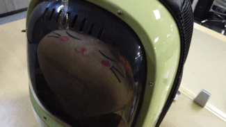 评测|小佩新出的新风太空舱猫包，可以避免闷死猫吗？