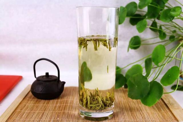 猫咪饮水并非越干净就越好，三种水源将令爱猫患病！