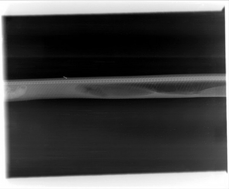 蟒蛇消化鳄鱼全过程，整整七天完成消化，网友：吃一顿顶七天