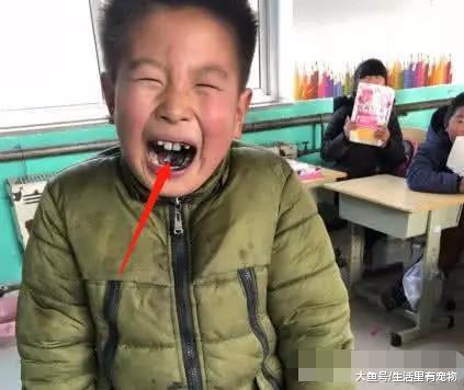 小學生個個都是人才，奇思妙想怪異舉動，老師家長哭笑不得！