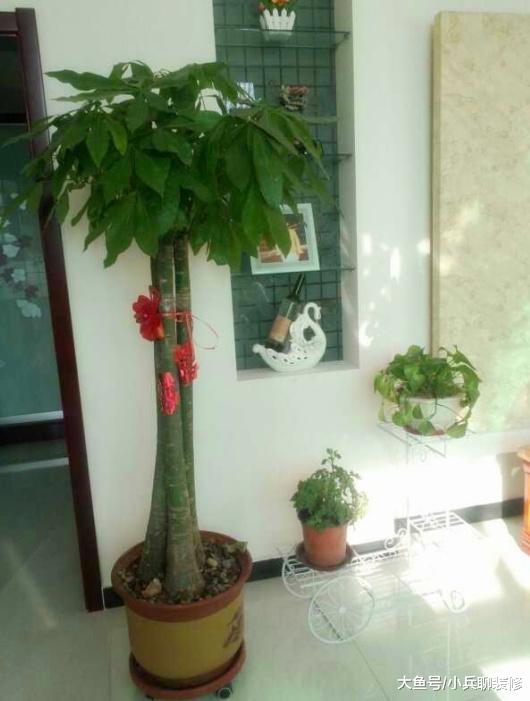 晒晒我的农村婚房，占地面积600平，厨房超级大，卧室谁见过？