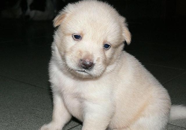 这些化妆品千万不要买！再贵都可能是三无！