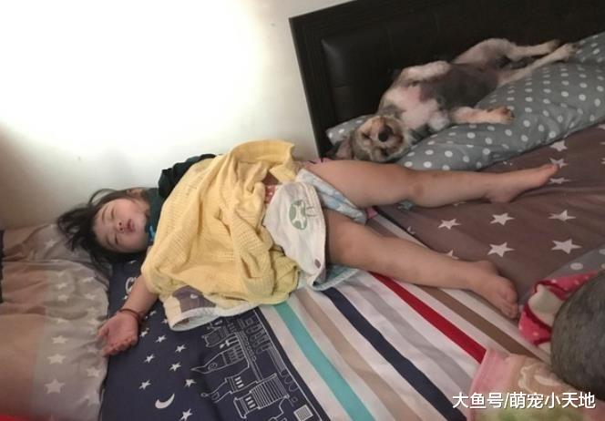 萌妹把狗掉的毛种回去，温柔宠汪问妈：我长大它会忘记我吗