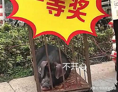 小哥哥运气爆棚, 抽到超市一等奖, 可看到实物后撒腿就跑!