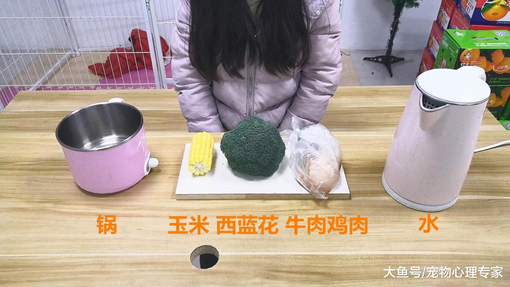 兩腳獸們出去年度聚餐，也不忘讓寵物吃上美味過大年，不料看饞了