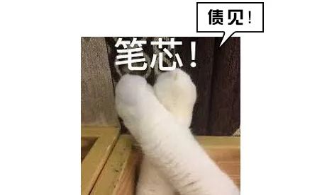 惹猫生气了，哄不好的那种，请问后悔药在哪里买啊？