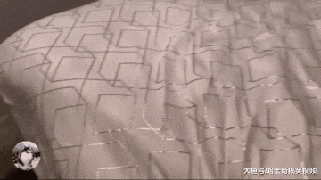 女主刚说要回屋休息，“胖儿子”却捷足先登，男主人睡哪？