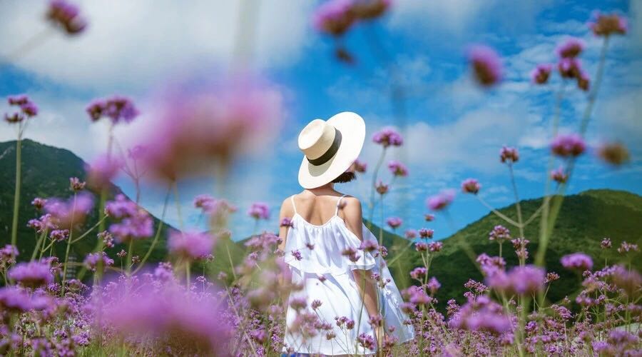 此时楼市，应该逢低吃进，还是抛盘离场