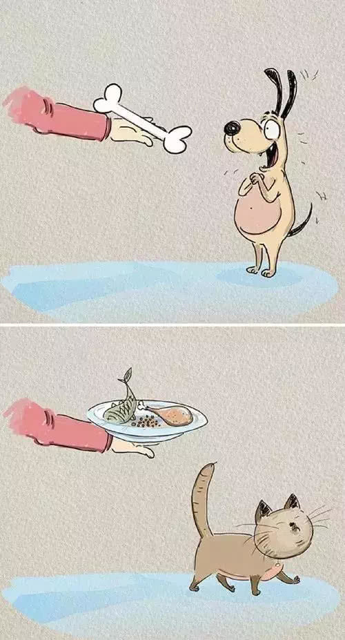 外国小哥实力演绎养狗和养猫的区别，太形象生动了