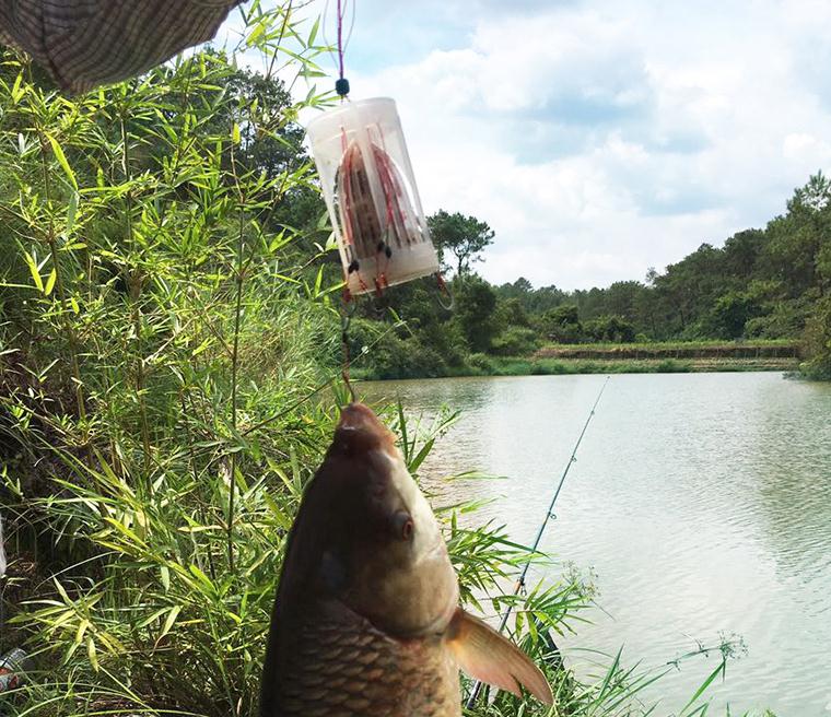 难怪老公不用蚯蚓钓鱼了！“懒人钓鱼神器”来袭，每天收获满满