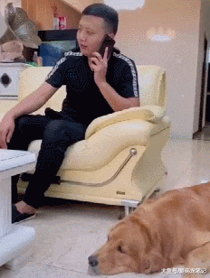 金毛辛辛苦苦去拿快递，结果发现自己的分量最小，汪：狗生太难了