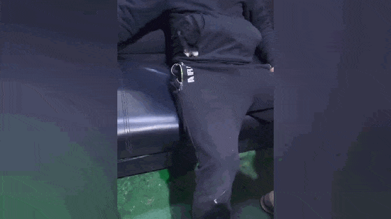 小黑狗怕冷, 钻进主人的衣服口袋, 狗: 暖暖的……