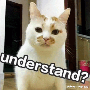 病毒顽强，致死率高达90%，让猫和主人措手不及的猫瘟如何预防？