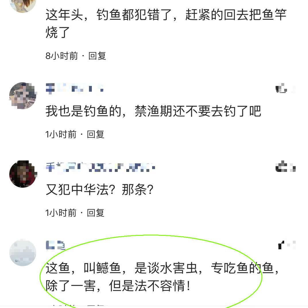 男子禁渔期钓起50斤“水老虎”，朋友圈炫耀被抓，引网友热议