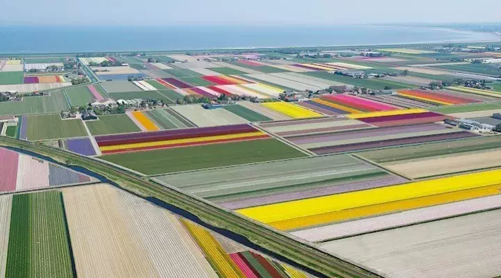 “农业+文化+旅游+康养+地产”, 未来30年中国最大的投资机遇!