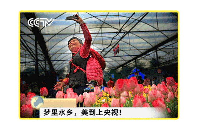 里水这个地方，挺迷的