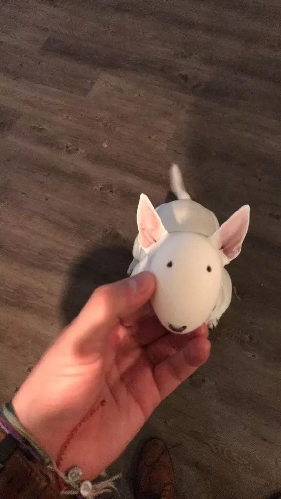 主人为狗狗做创意换脸手术爆红，各路网友纷纷加入挑战！