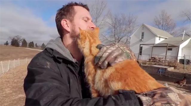 胖橘抢鸡食后遭公鸡追逐，落败后被人嘲笑，无奈寻求铲屎官安慰！