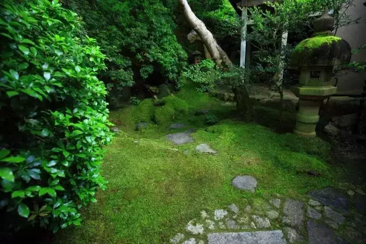 庭院青苔 · 歲月之痕