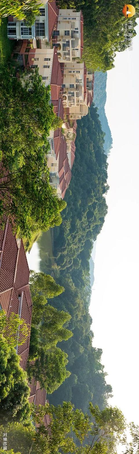 一周劲销100栋！这个大宅为何雄霸广州？