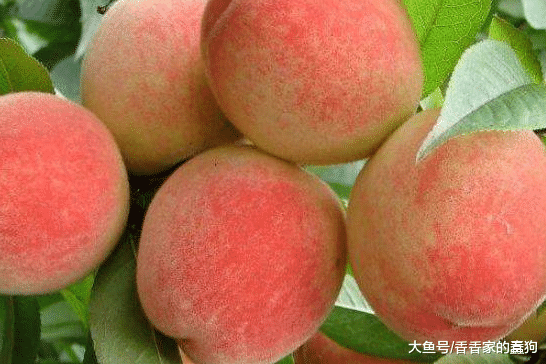 爱美女人不妨多吃3种食物，补充营养，改善体质，减少色斑生成