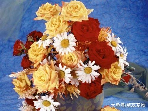 十二生肖中，最能10月来一笔财富，喜成双、财遍地的四大生肖