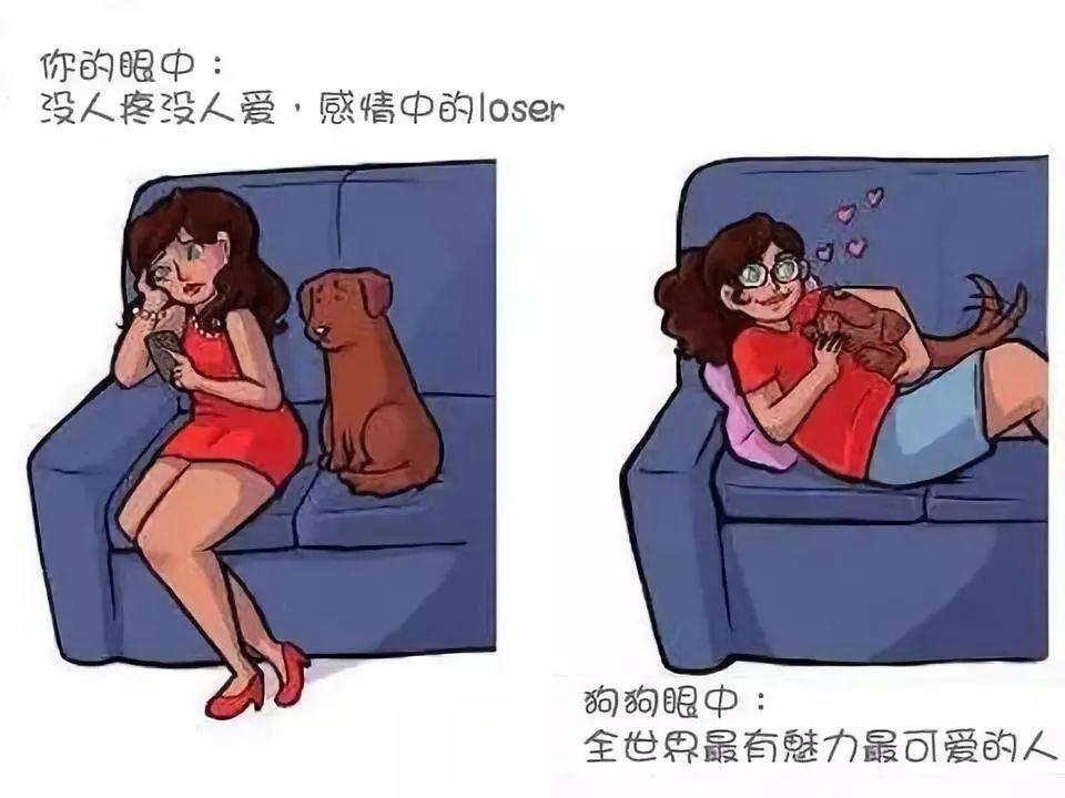 不管怎樣，你都是它眼里的蓋世英雄
