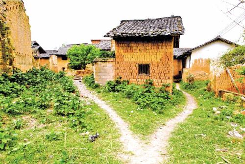 关于农村集体土地的常见的问题
