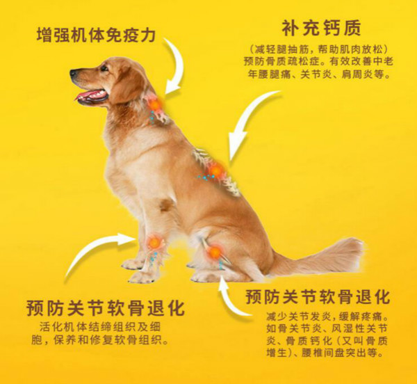 狗狗得了佝偻病吃什么好？狗狗得了佝偻病如何治疗