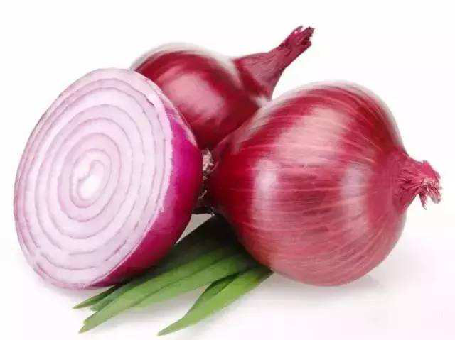 猫咪饮食小禁忌！宠物小白一定要注意！