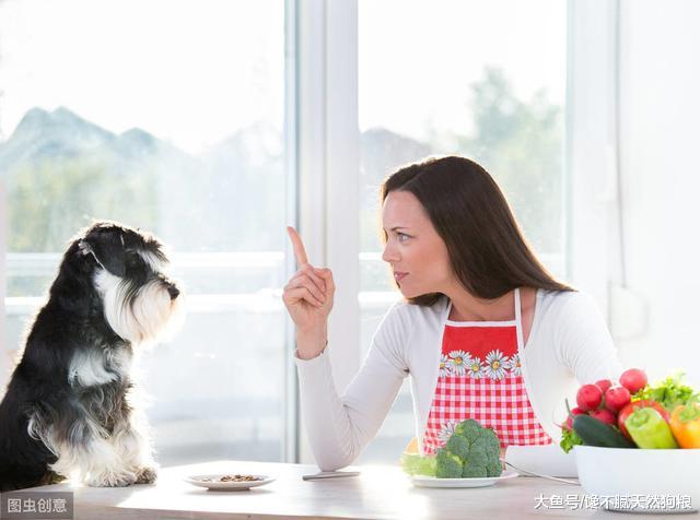 雪纳瑞挑食不爱吃狗粮，越喂越不肯吃？别急，先看看这5个原因