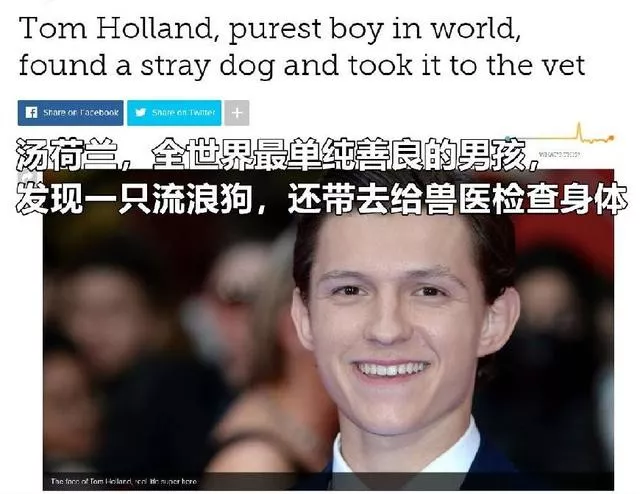 帮流浪狗找家领养代替购买，这样的明星，才应该叫偶像