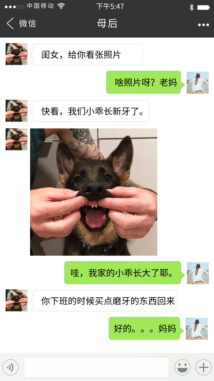 “麻麻，刚才拉粑粑记得用小宠伴你记下来！”