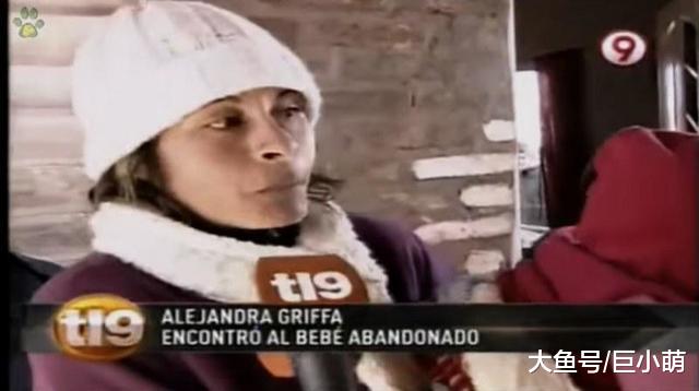 跨越种族的母爱，流浪狗狗收养的满月幼婴，不仅喂奶还紧紧抱着她