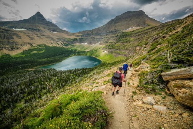 牧羊犬丢失，主人辞掉工作追踪57天，最终惊喜出现！
