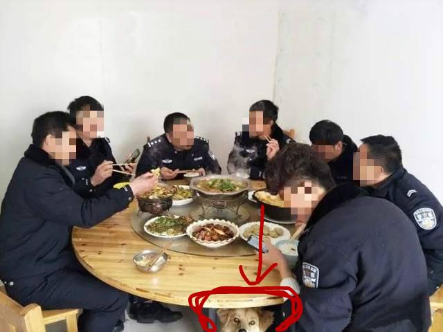 農村土狗打劫警察蜀黍，結果被帶回警局差點把食堂吃垮！