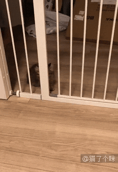 是你自己选的困难模式，不怪我