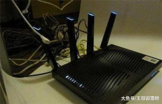 [路由器]路由器旁不要放这两样东西，不然百兆宽带也卡！
