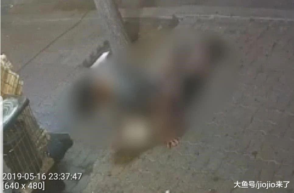 三个月大幼犬遭变态男性侵长达十多分钟！变态男辩解：喝多了……