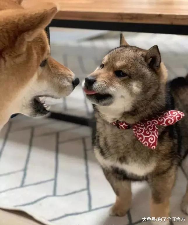 挨妈妈骂的你，内心毫无波动，甚至还想略略略