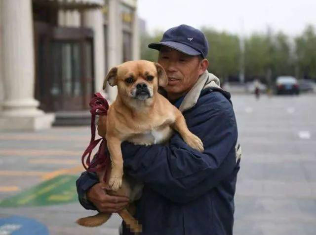 感动！流浪狗为报收养之恩，帮清洁工主人清扫街道
