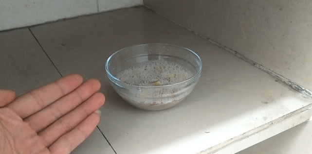 消灭蟑螂有方法，别再买杀虫剂了，只需放一碗它，安全又省钱！