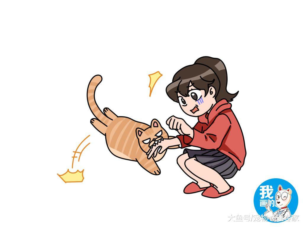 爱我你就抱抱我，对于猫咪却并不适用，莫非感情破裂了？