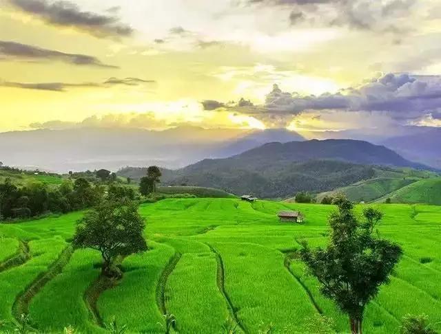 世界最好吃的6个目的地, 走心又走胃