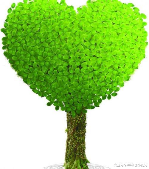 心理测试：四棵树，选一个，看最近你要发生什么事
